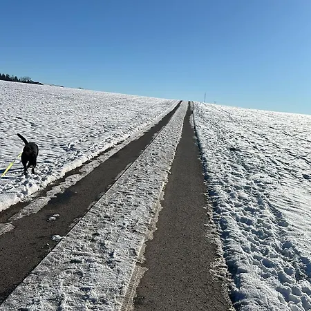 Daire 5 Sterne Im Schwarzwald *